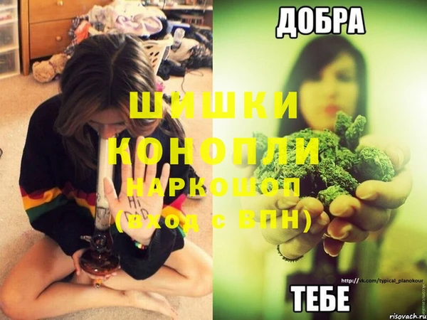 марихуана Белокуриха