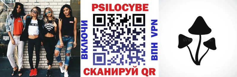 Галлюциногенные грибы прущие грибы  Рудня 